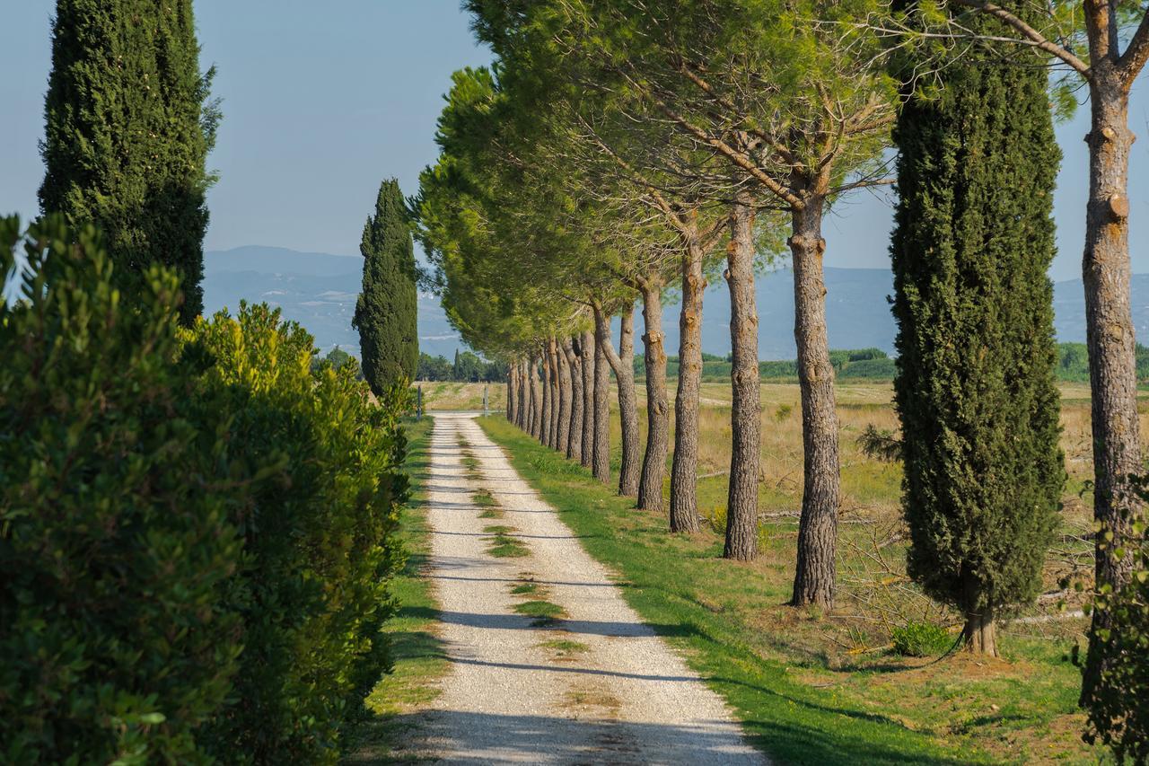 Agriturismo Bandinelli Braccagni Екстер'єр фото