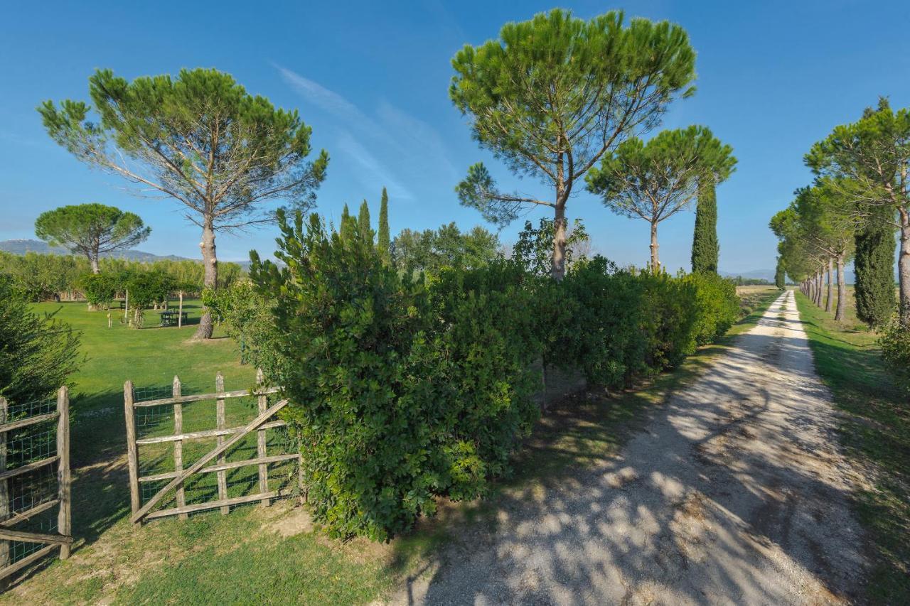 Agriturismo Bandinelli Braccagni Екстер'єр фото